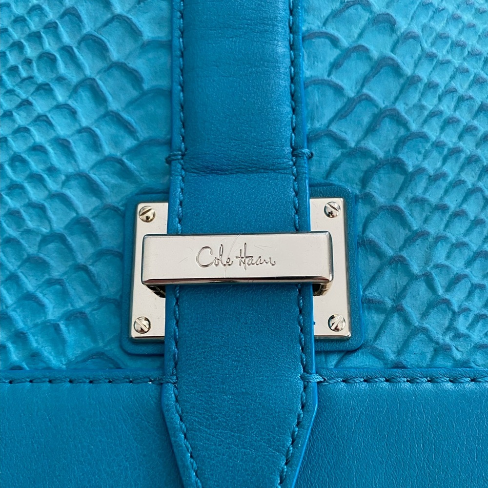 Cole Haan clutch